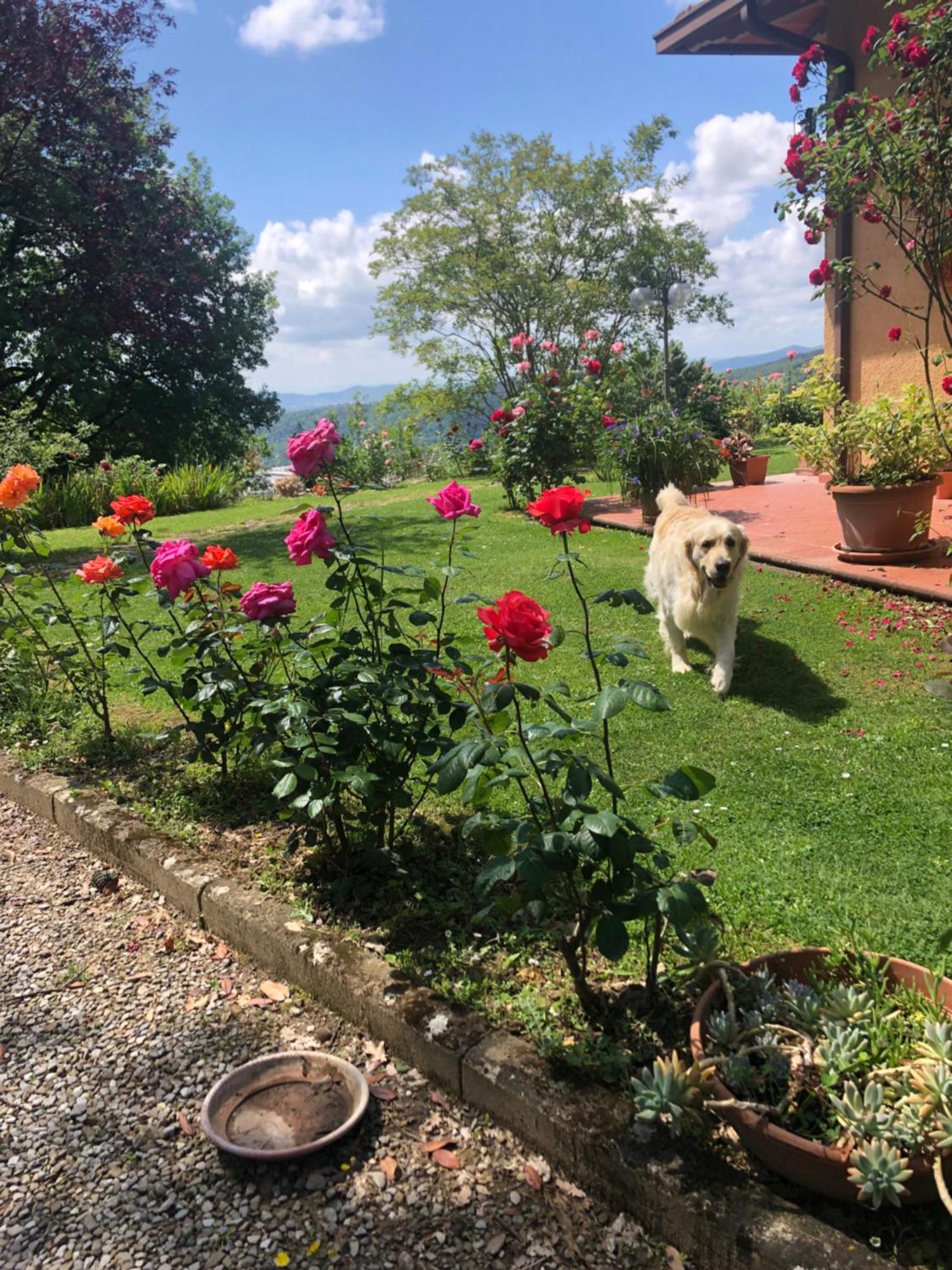 Villaspino Capolona Buitenkant foto